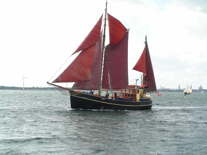 08 05 380.JPG